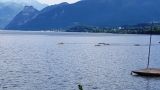 Traunsee2016 Mix 4X